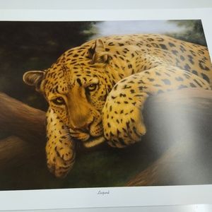 Leopard by Harold Rigsby 211/500 Signed